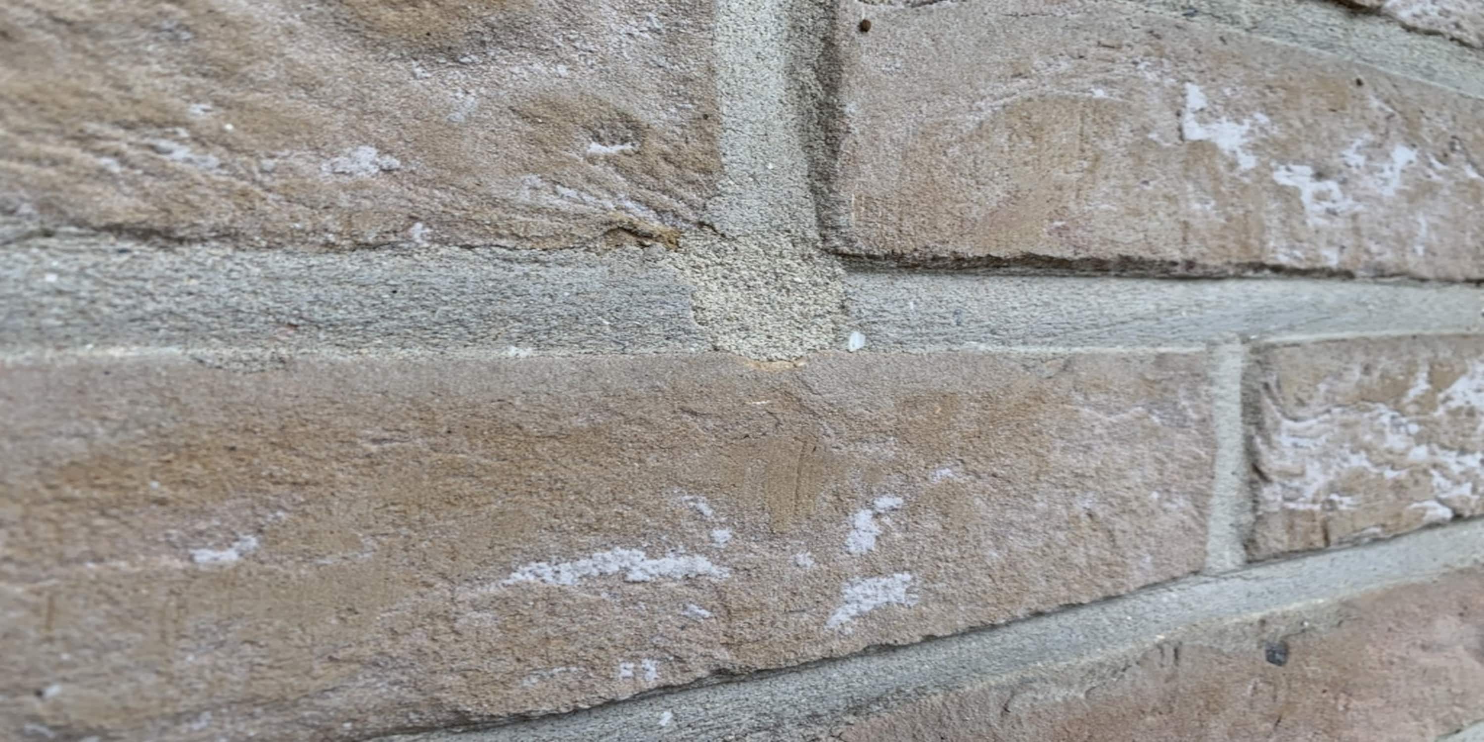 isolation murs creux